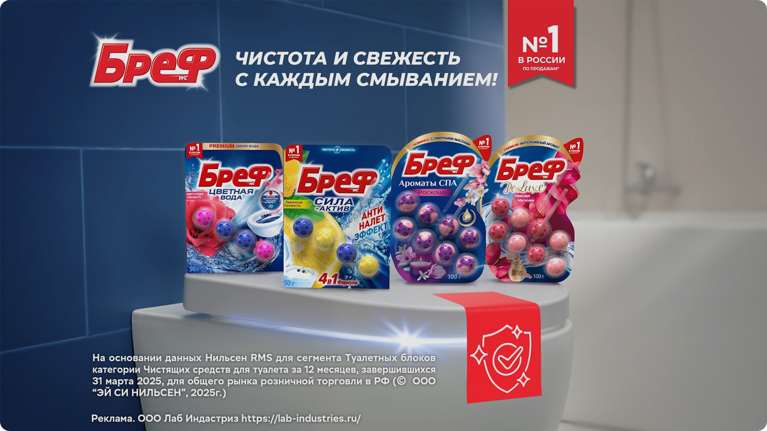 Какие функции выполняет Бреф